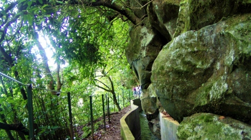 Madeira