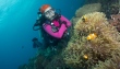 ostrov Tioman - podmořský svět