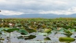 jezero Inle