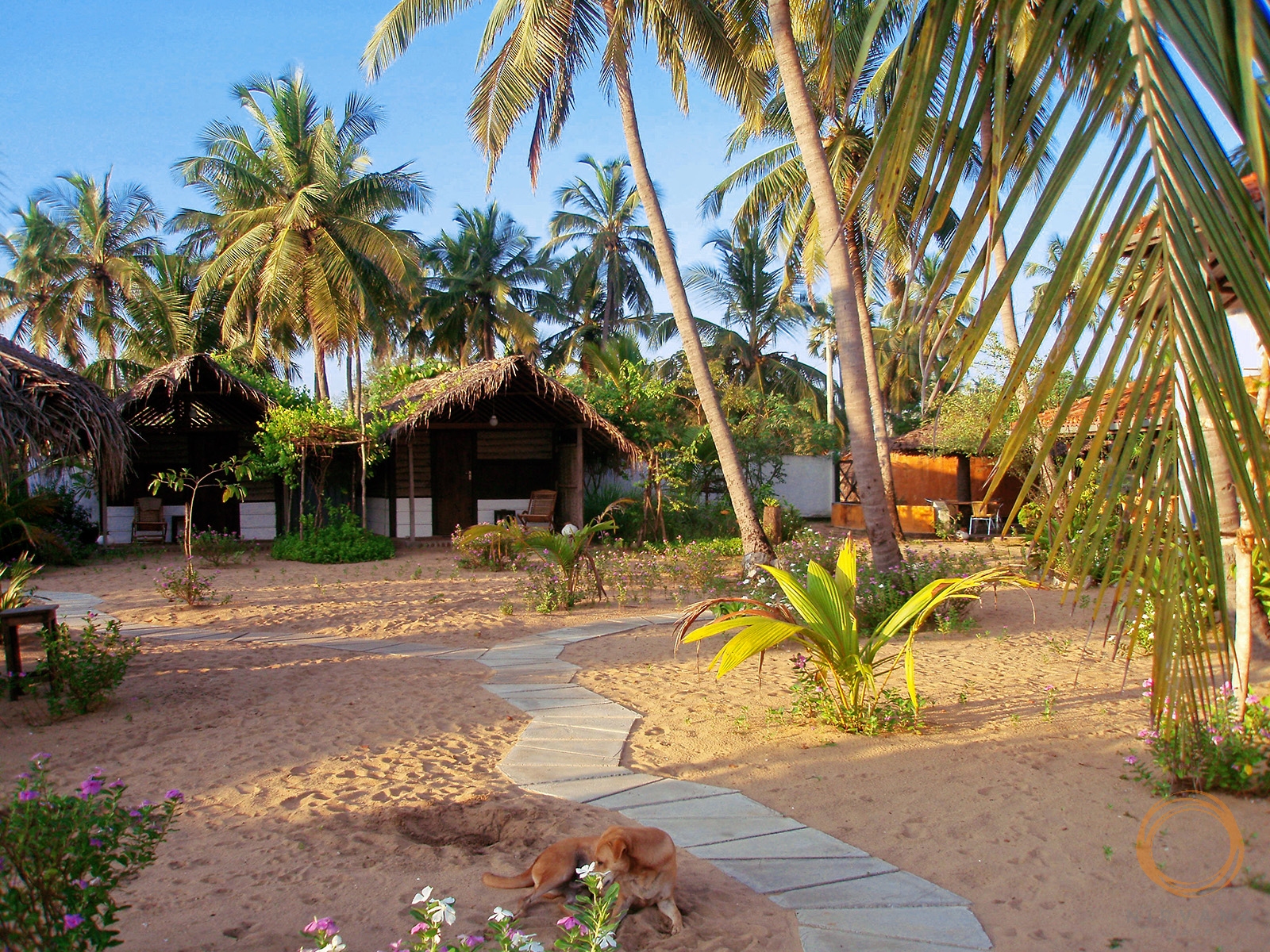 Rainbow surf beach hotel шри ланка. Поттувил Шри Ланка. Шри Аругам Бэй. Аругам Бей Шри Ланка. Club Palm Bay Шри Ланка.