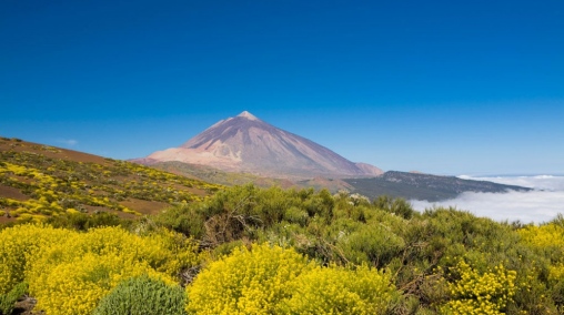 Tenerife