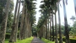 Peradeniya